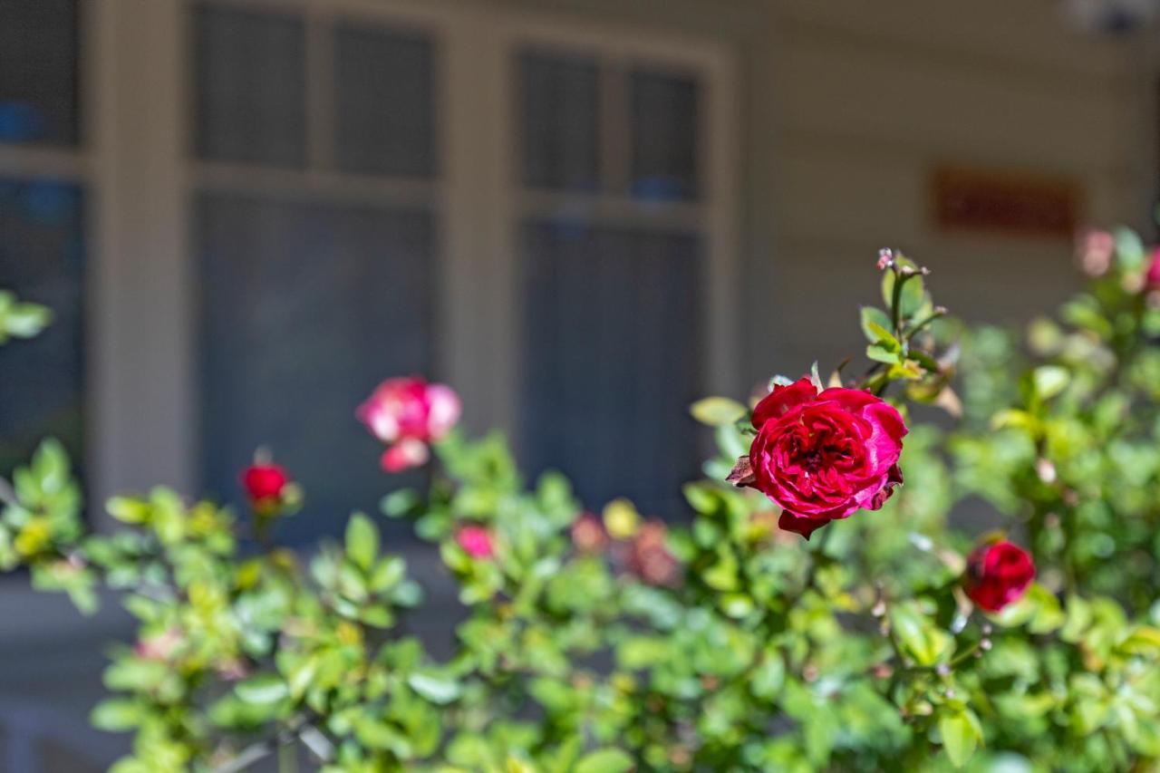 Keira Cottage Katoomba Exterior photo